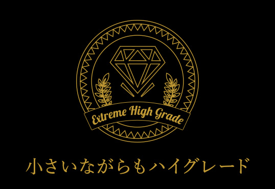 小さいながらもハイグレード